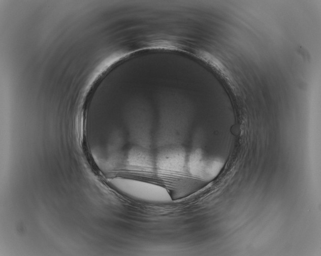 X0000111211323200907291243