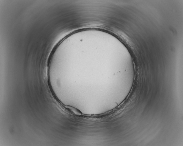 X0000111211324200907291243