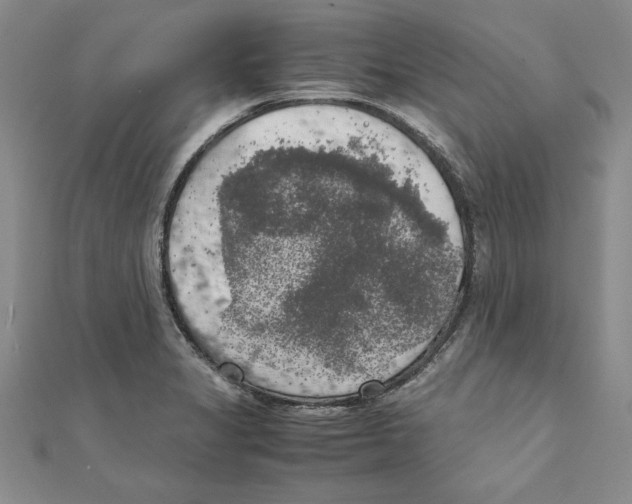 X0000111211325200907291243