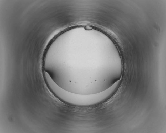 X0000111211326200907291243