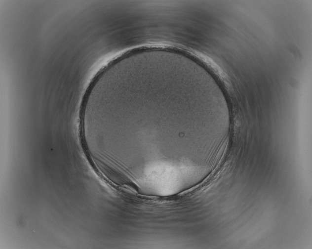 X0000111211327200907291243