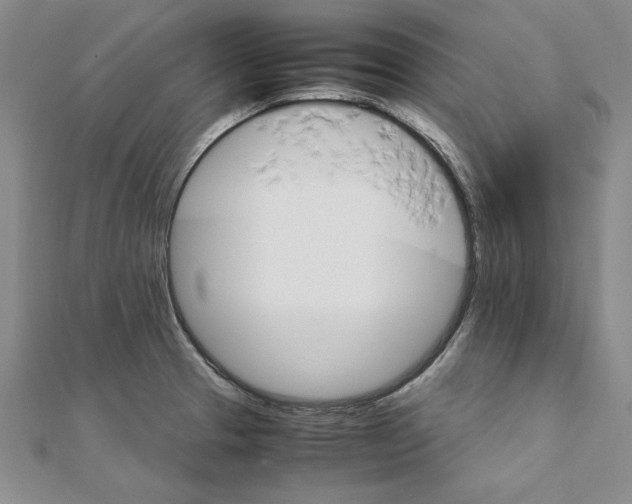 X0000111211329200907291243