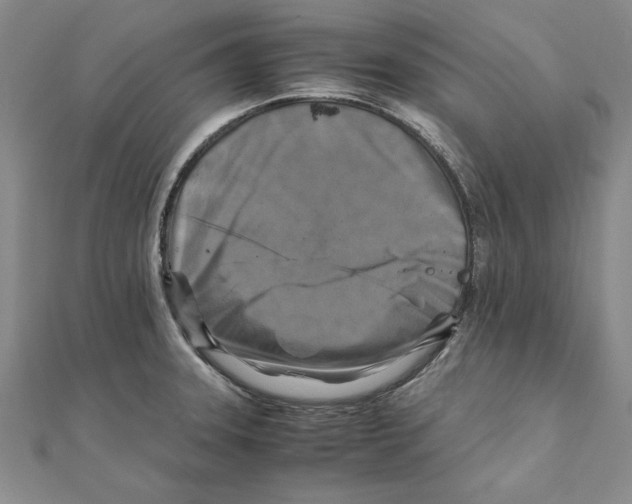 X0000111211331200907291243