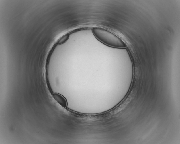 X0000111211334200907291243