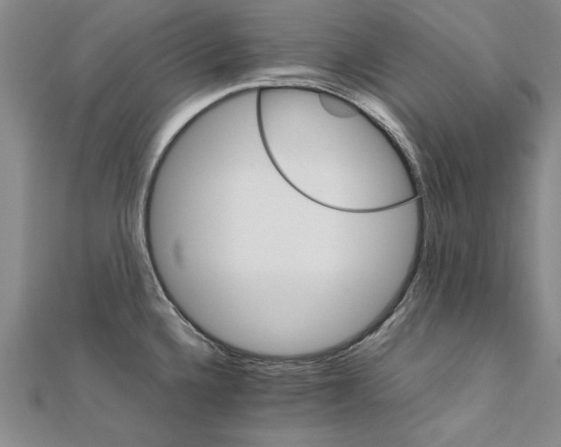 X0000111211336200907291243