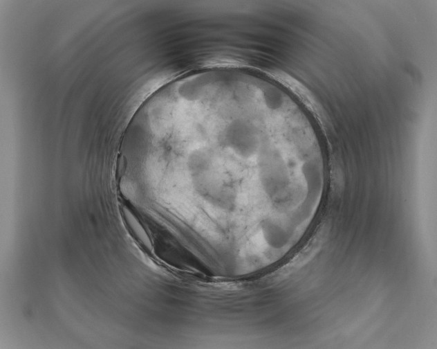 X0000111211337200907291243