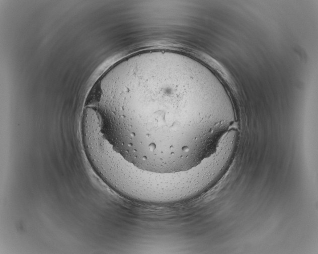 X0000111211338200907291243