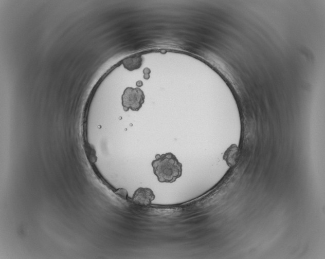 X0000111211339200907291243