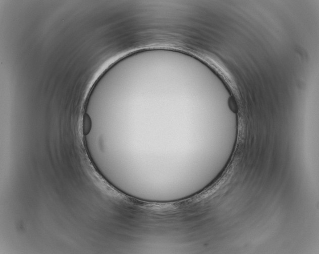 X0000111211340200907291243