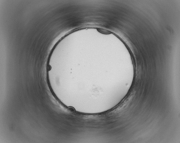 X0000111211341200907291243