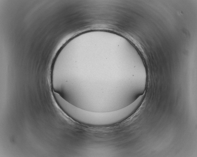 X0000111211342200907291243