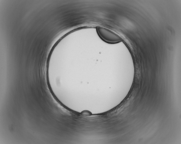 X0000111211343200907291243