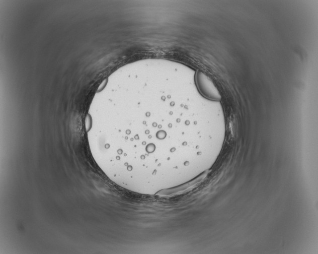 X0000111211347200907291243