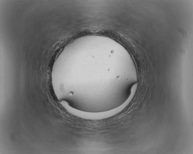 X0000111211349200907291243