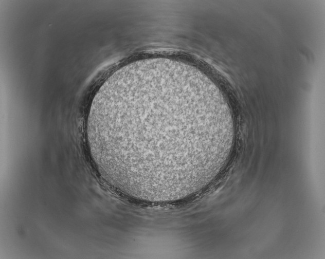 X0000111211351200907291242