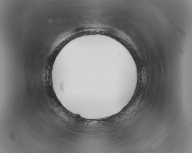 X0000111211352200907291242