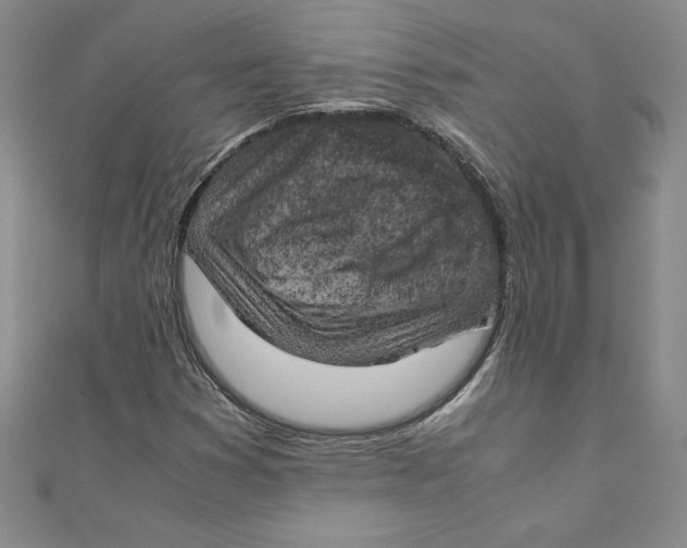 X0000111211353200907291242