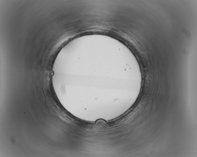 X0000111211355200907291242