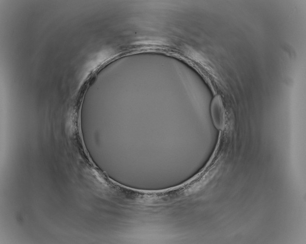 X0000111211357200907291242