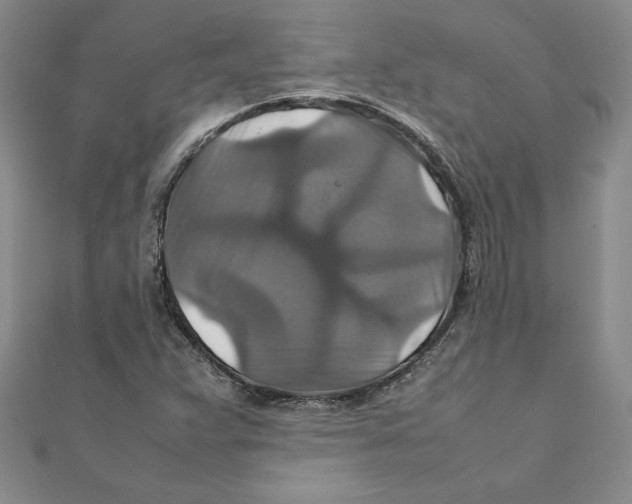 X0000111211359200907291242