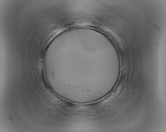 X0000111211361200907291242