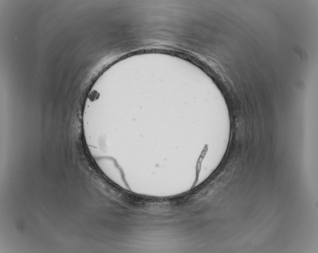 X0000111211363200907291242