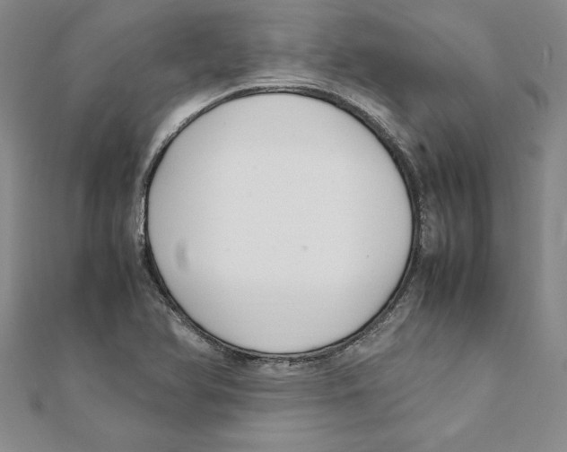 X0000111211366200907291242