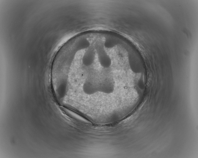 X0000111211367200907291242