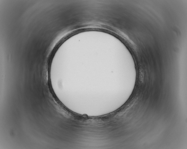 X0000111211368200907291242