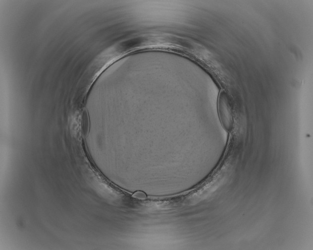 X0000111211369200907291242