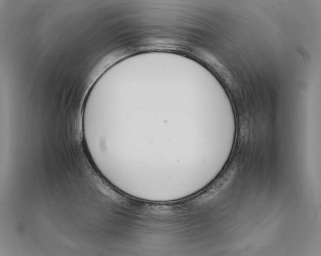 X0000111211370200907291242