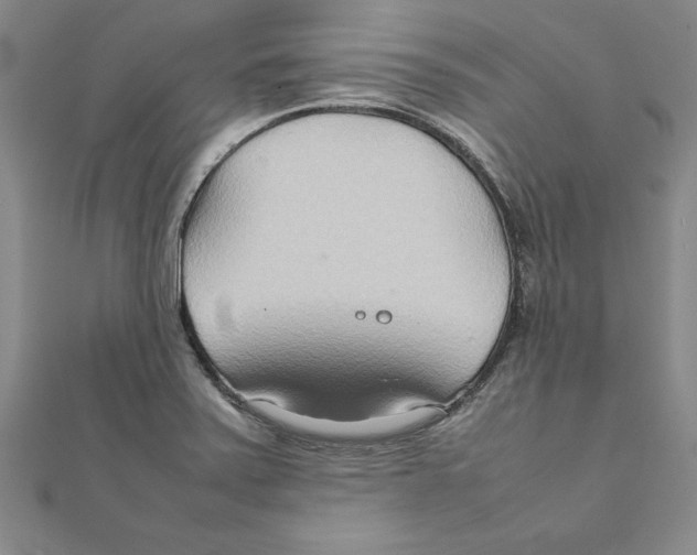 X0000111211371200907291242