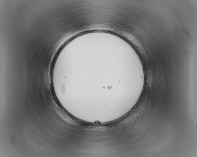 X0000111211372200907291242