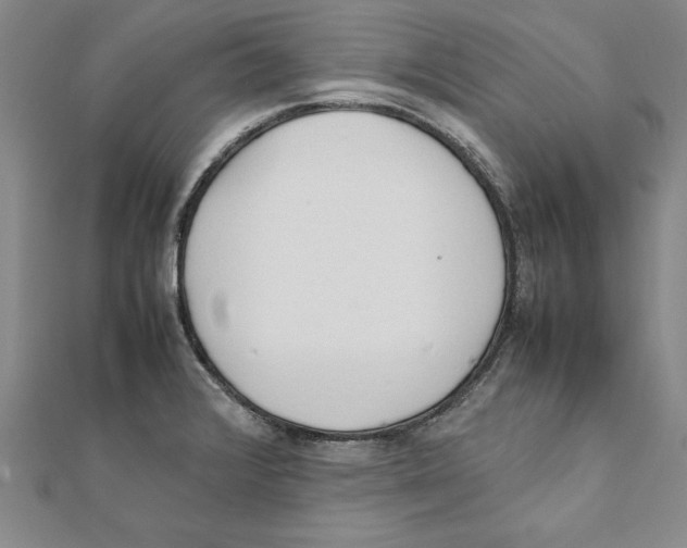 X0000111211376200907291242