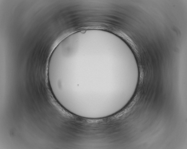 X0000111211378200907291242