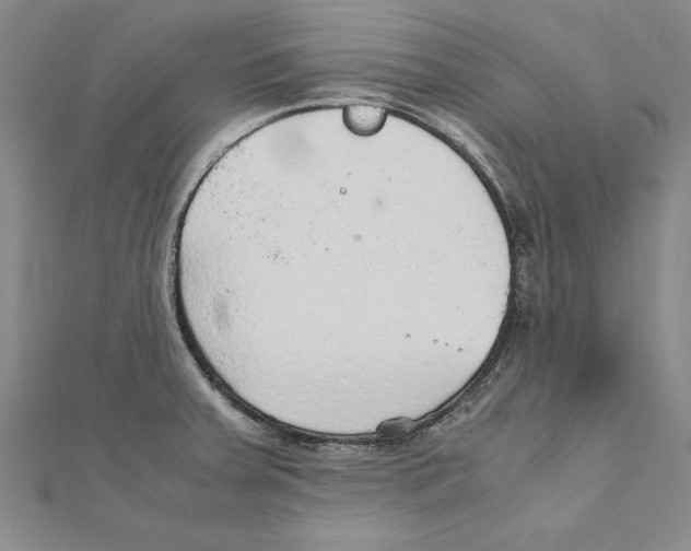 X0000111211379200907291242