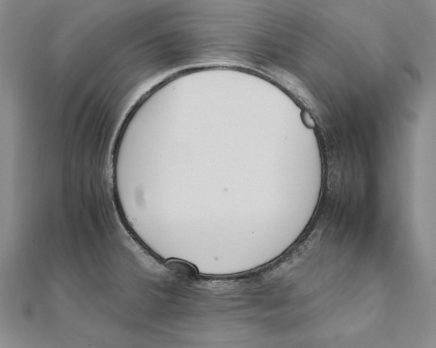 X0000111211380200907291242