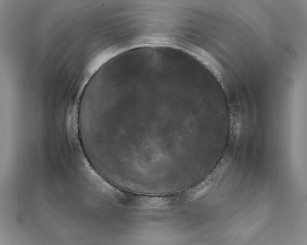 X0000111211382200907291242