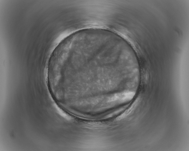 X0000111211383200907291242