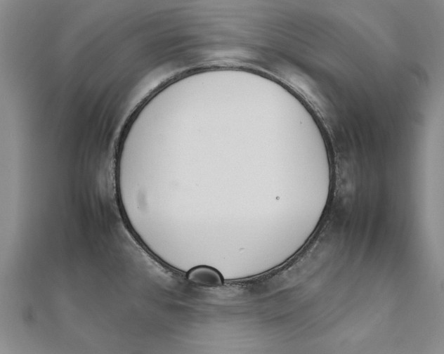 X0000111211384200907291242