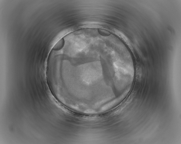 X0000111211386200907291242