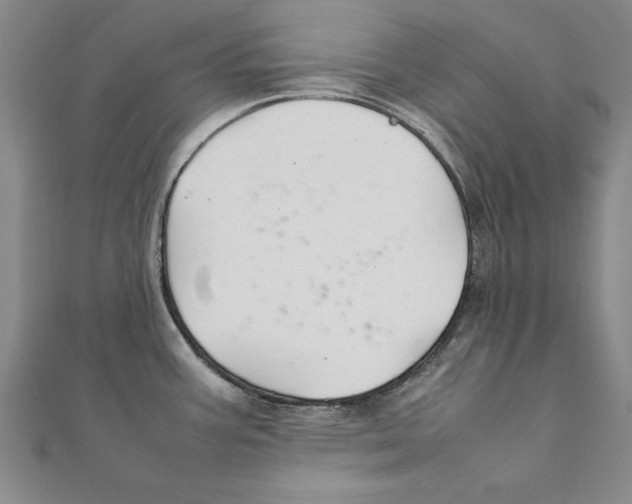 X0000111211387200907291242