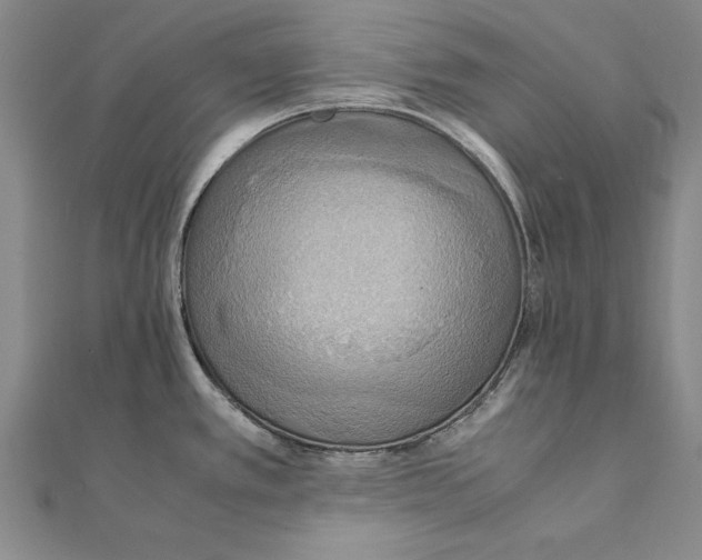 X0000111211389200907291242