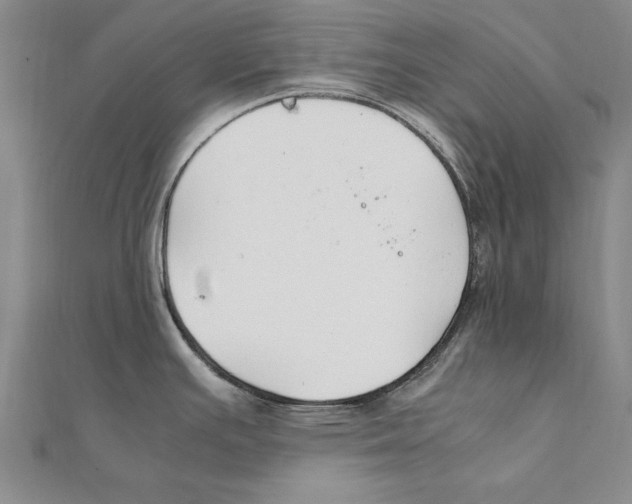 X0000111211391200907291242