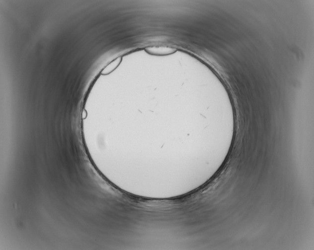 X0000111211392200907291242