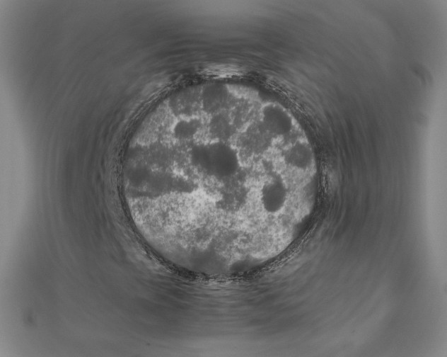 X0000111211393200907291241