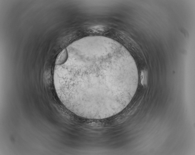 X0000111211395200907291241