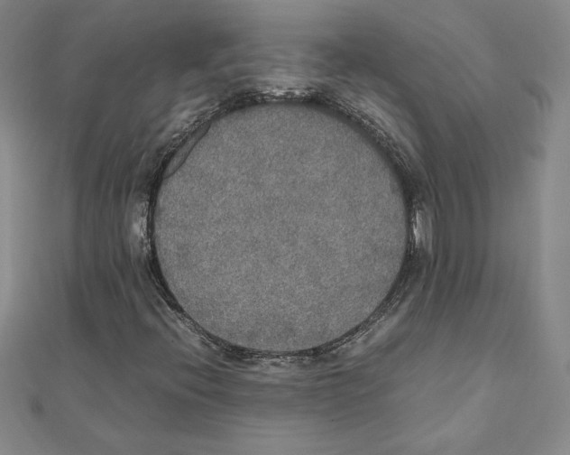 X0000111211396200907291241