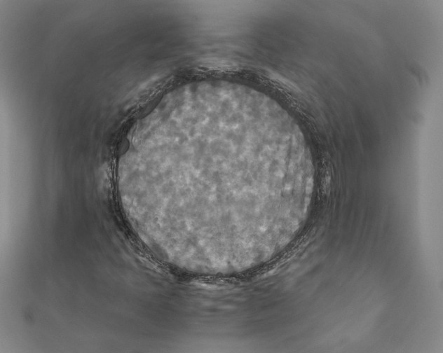 X0000111211397200907291241