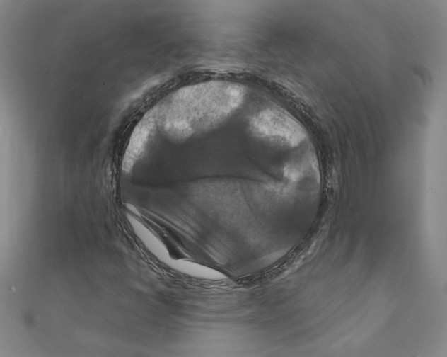 X0000111211398200907291241